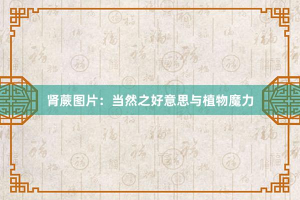 肾蕨图片：当然之好意思与植物魔力